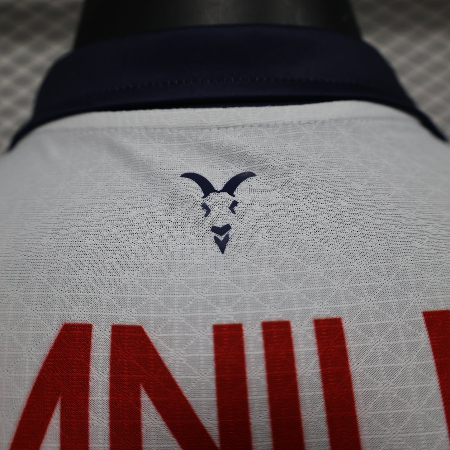 C.D. Guadalajara Away Kit 24/25