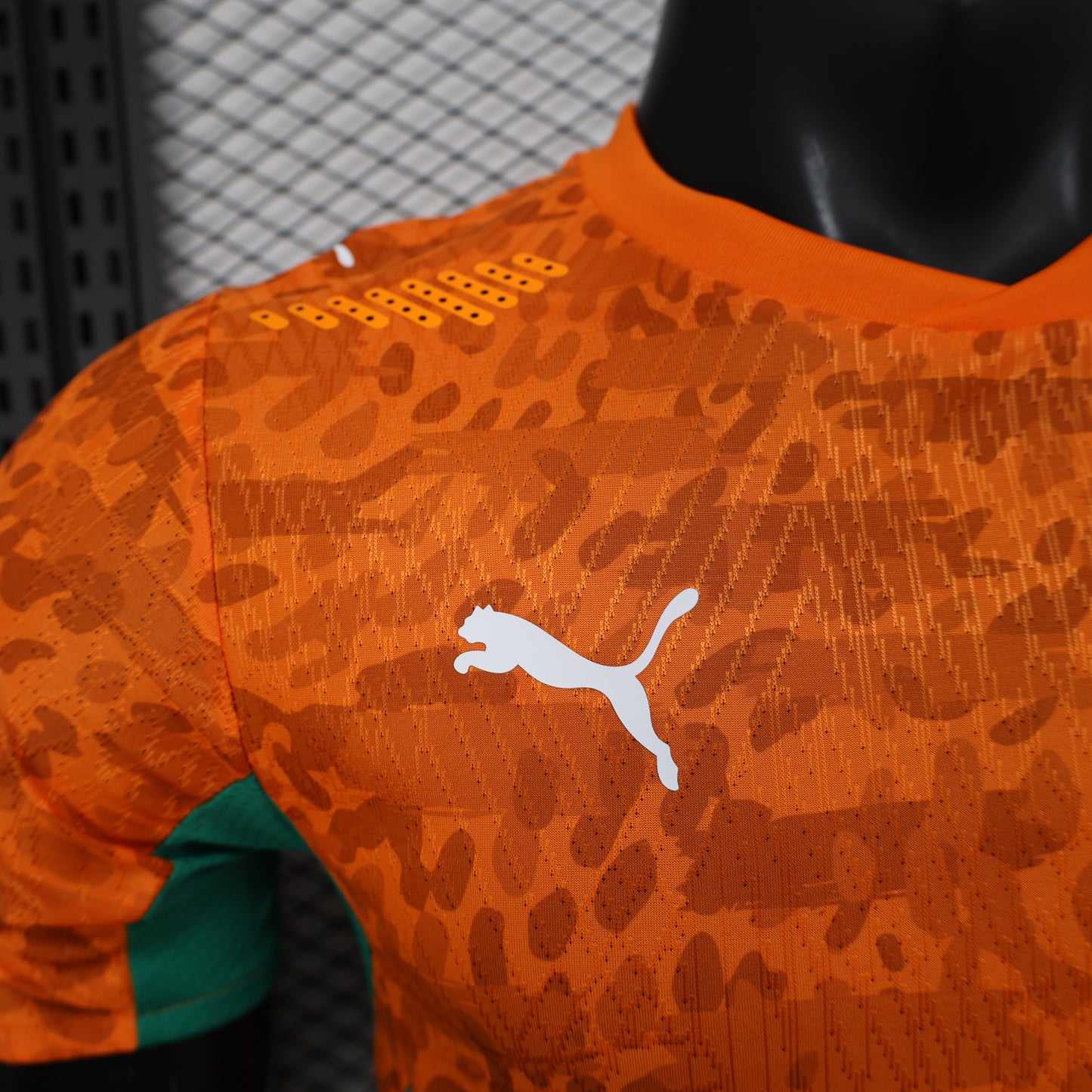 Ivory Coast World Cup Home Kit 25/26