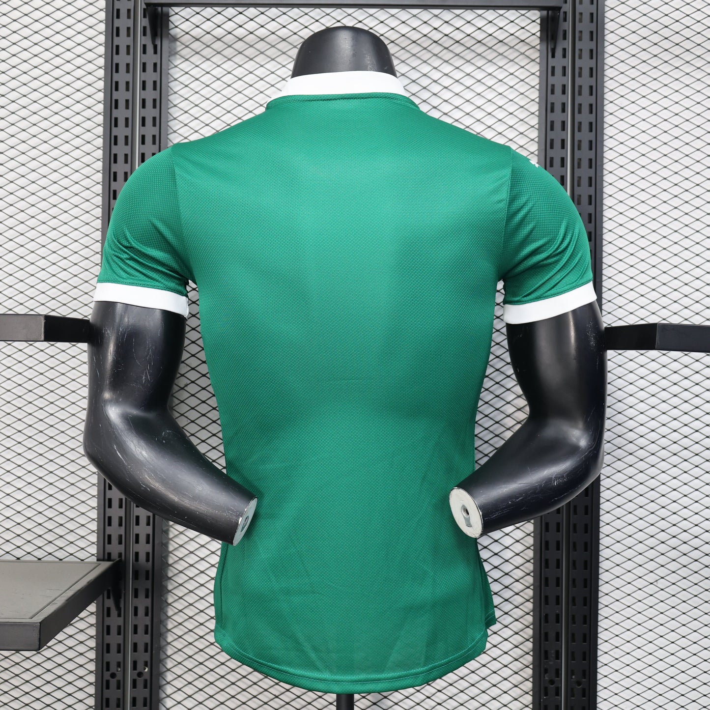 Palmeiras Home Kit 25/26