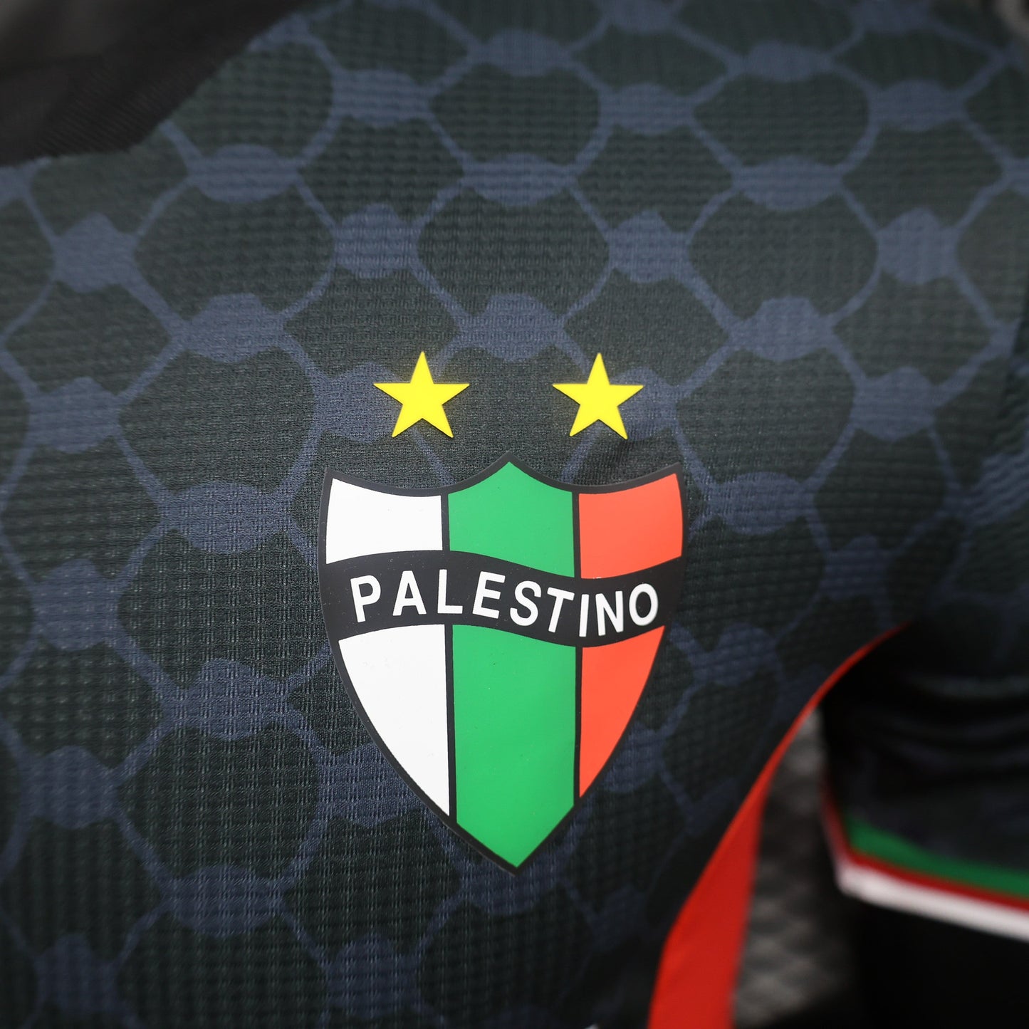 Deportivo Palestino Away Kit 23/24