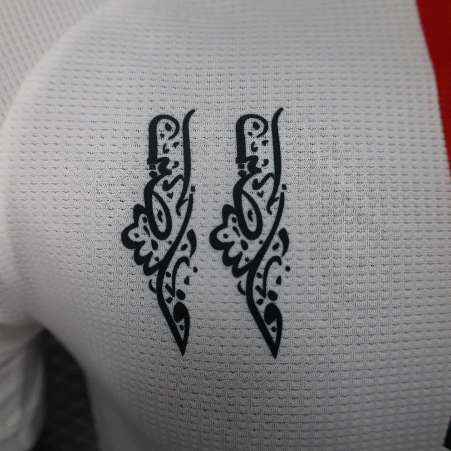 Palestine Away Kit 24/25