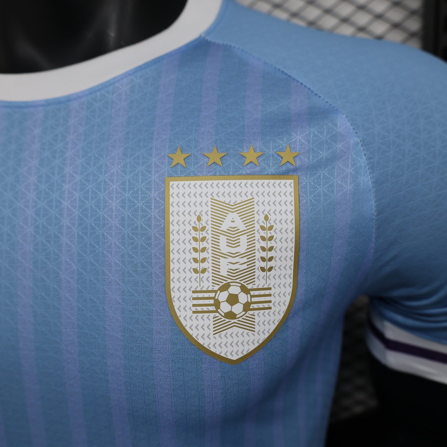Uruguay Home Kit 24/25