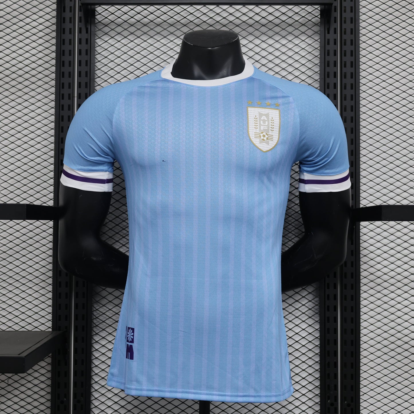 Uruguay Home Kit 24/25