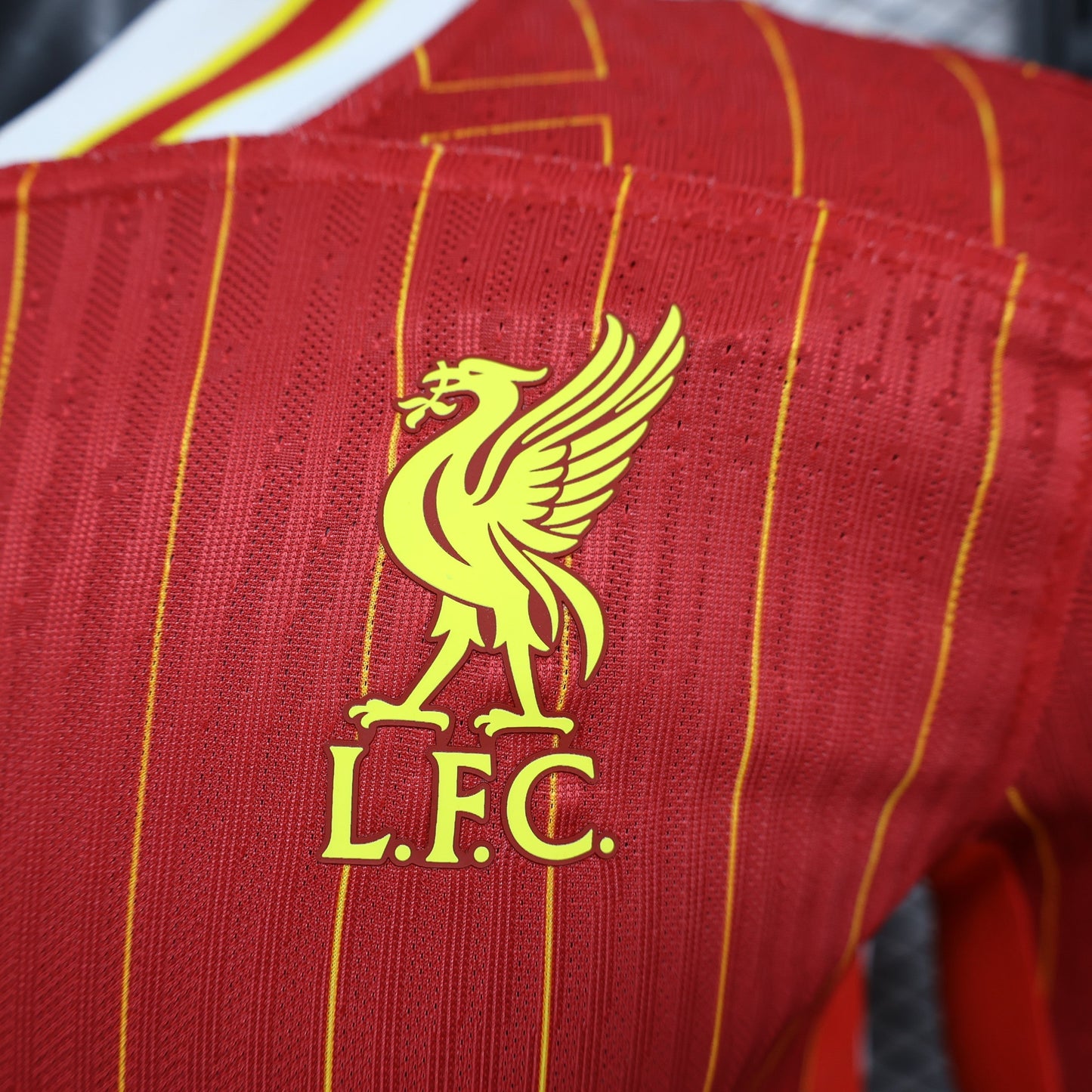 Liverpool Home Kit 24/25